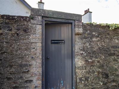 Picture 60